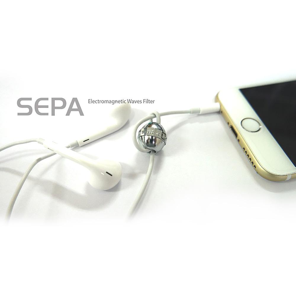 Electromagnetic wave filter for earphone