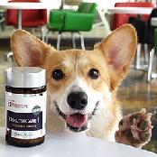 Petteun Healthcare 6