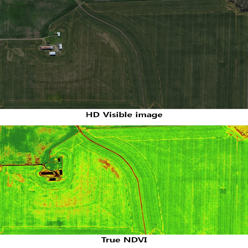 UAV image processing service