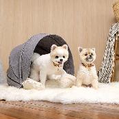 Furniture for companion animals that Can also be used as a house, bed, or car seat Pet hous 'HOUD'