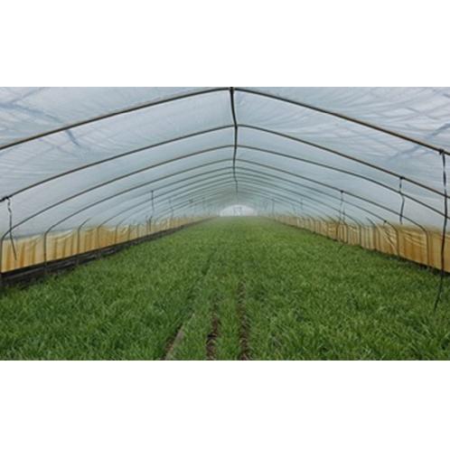 Prevent water bubbles from clustering on the film and anti fogging effect PRETEX-AF805 for EVA films