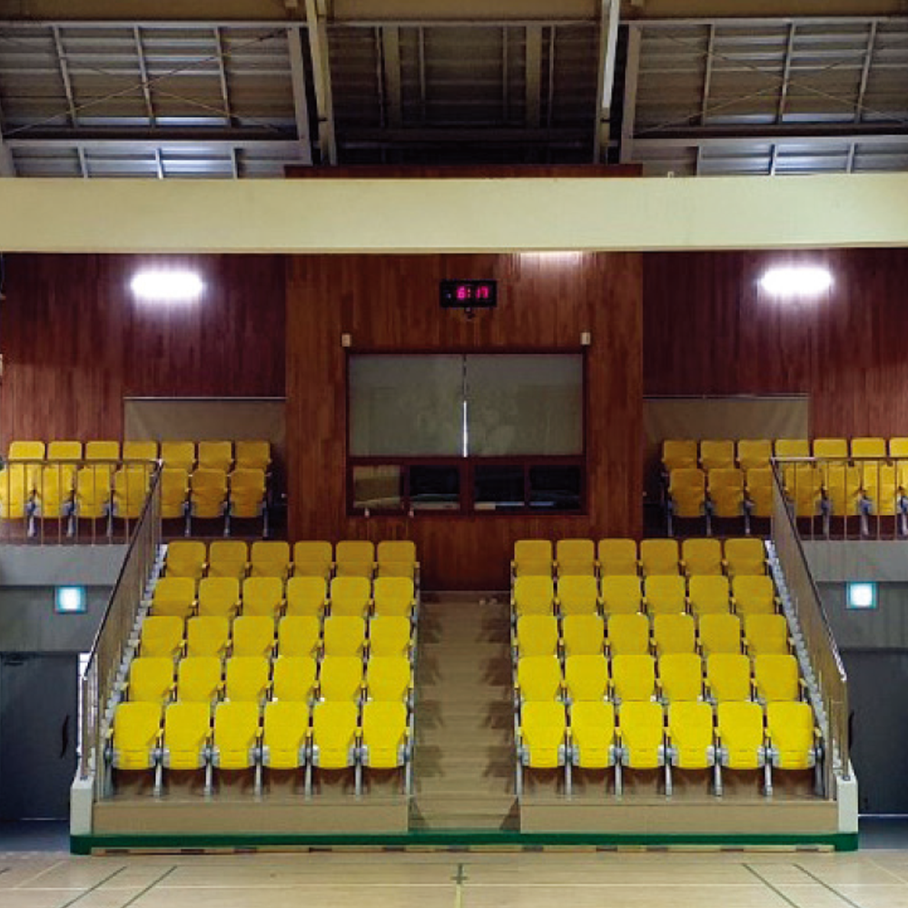 Slow Folding Chair(SY-6000)