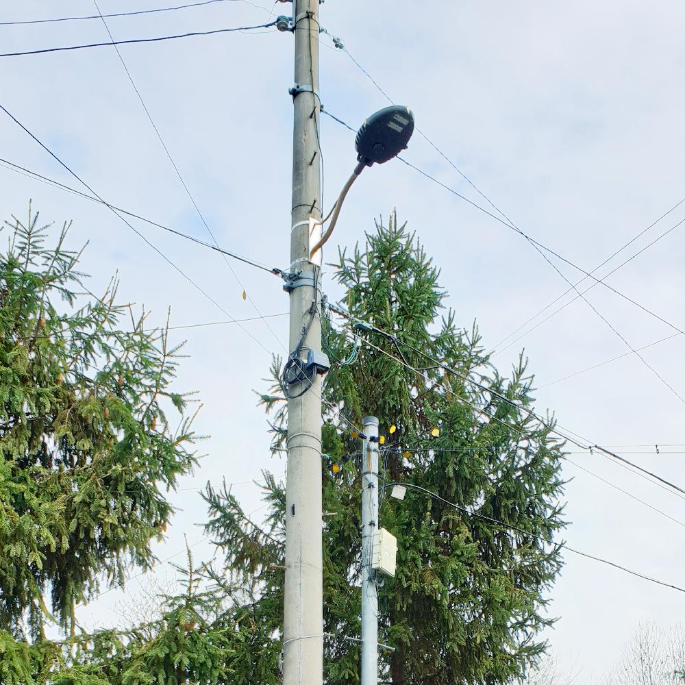 Smart security light