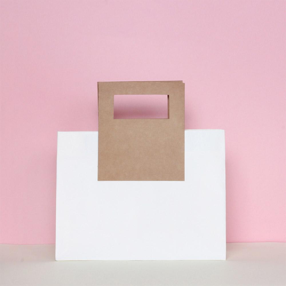 Premium Square Handle Gift Bag