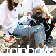 detail image3 Dog Rainbow 6 in 1 Rope Dog Leash How to use hands-free walking with both hands