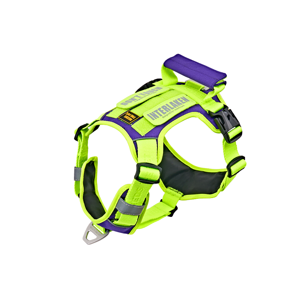 INTERLAKEN SLIM 2.0 HARNESS