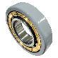 detail image2 NU320-E-M1-C3-J20A INSULATED CYLINDRICAL ROLLER BEARING