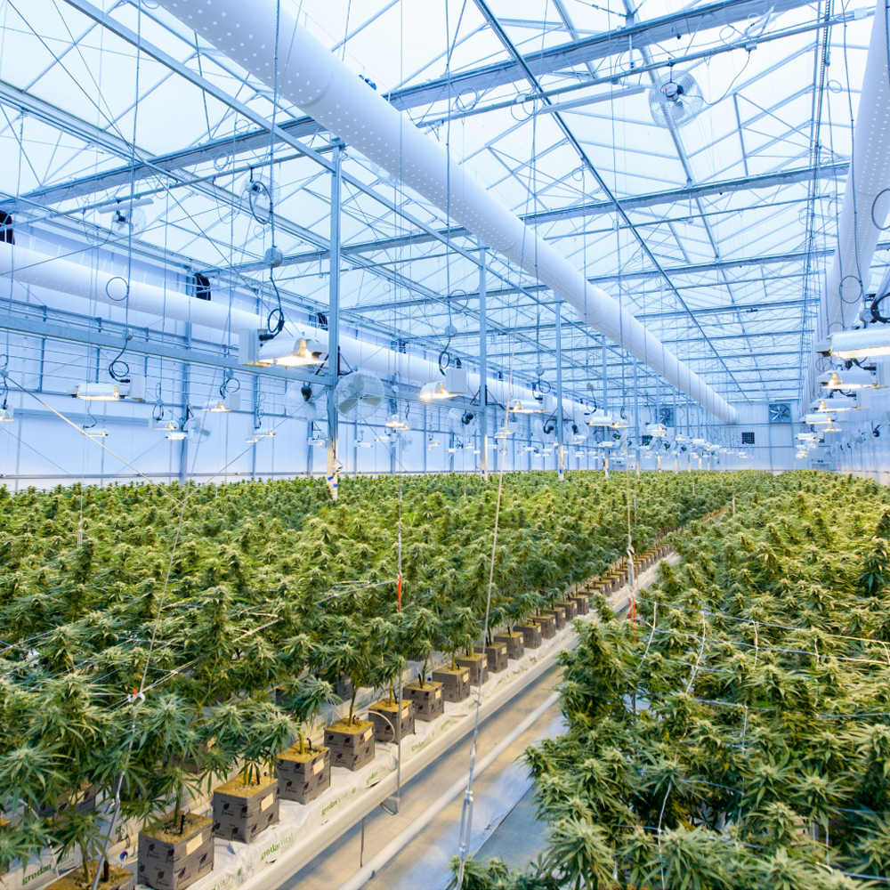 Water Hose Punching Machine