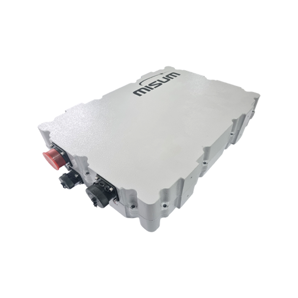 Lithium Ion Battery Pack