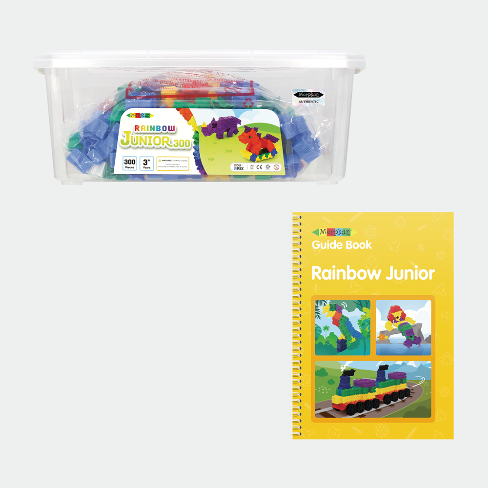 Morphun bricks RAINBOW JUNIOR 300
